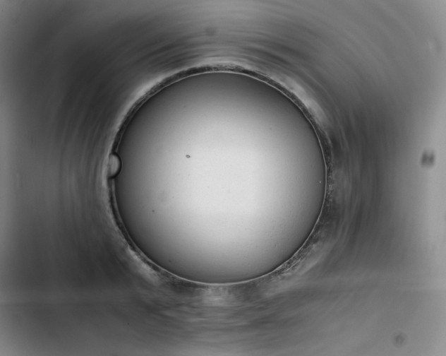 X0000102860799200808251225