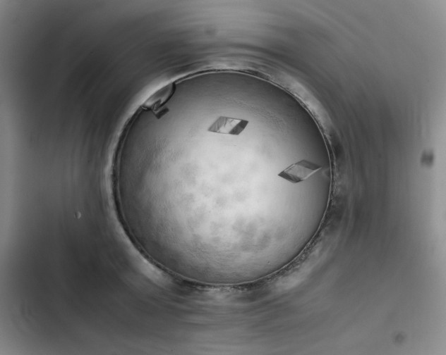 X0000102860803200808251225