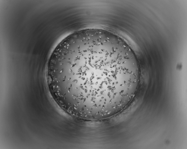 X0000102860804200808251225