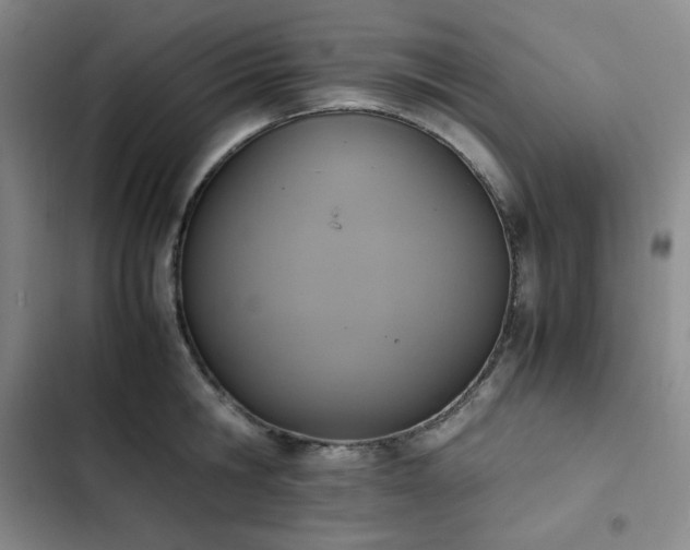 X0000102860806200808251225