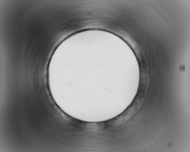 X0000102860807200808251225