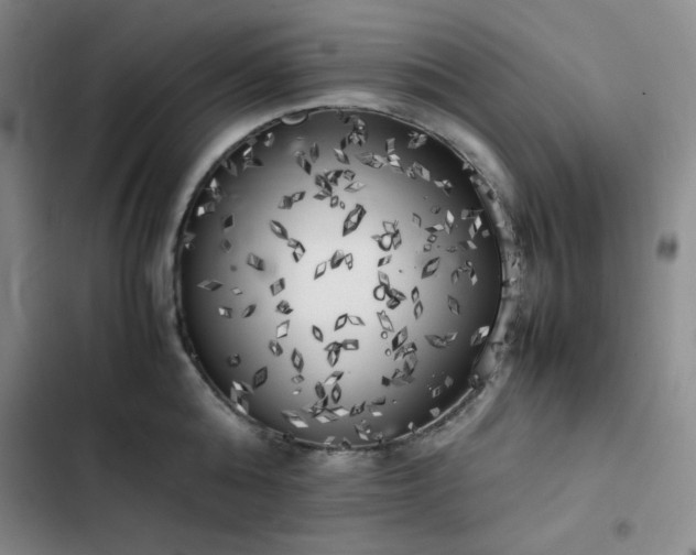 X0000102860808200808251225