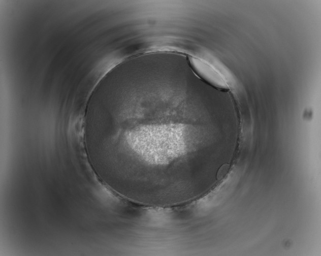 X0000102860809200808251225