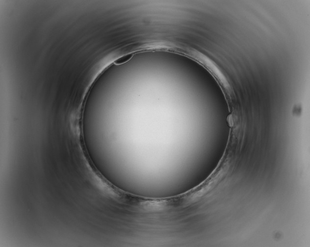 X0000102860810200808251225