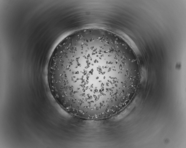 X0000102860812200808251225