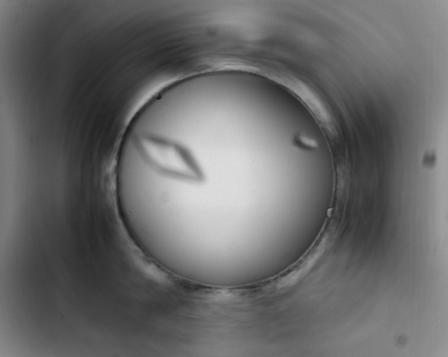 X0000102860814200808251224