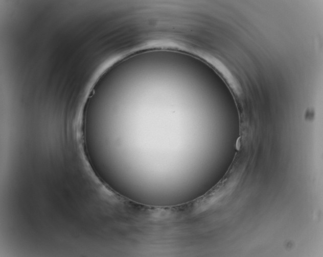 X0000102860815200808251224