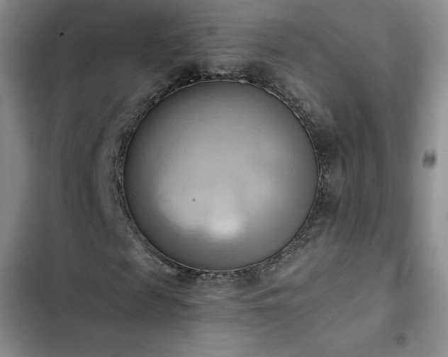 X0000102860817200808251224