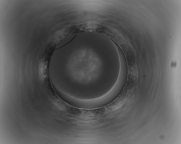 X0000102860818200808251224