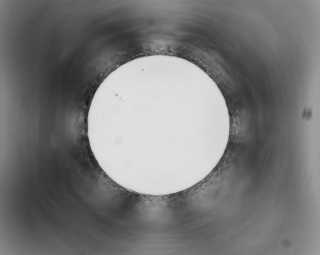 X0000102860820200808251224