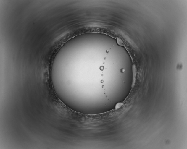 X0000102860821200808251224