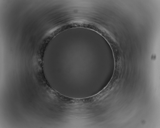 X0000102860822200808251224