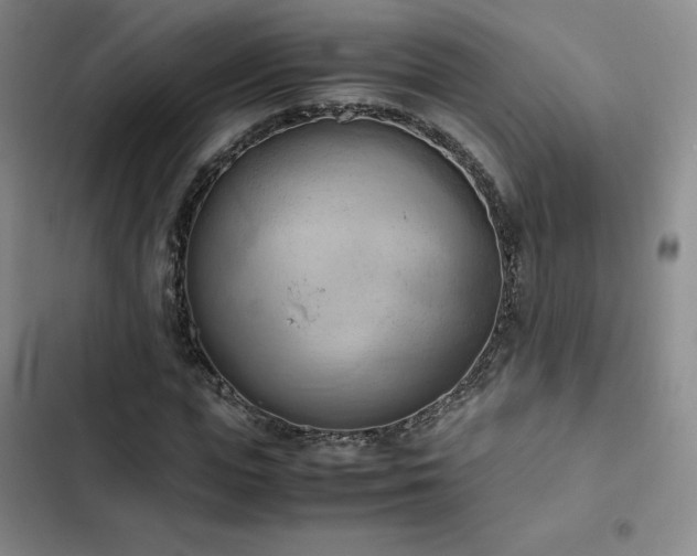 X0000102860823200808251224