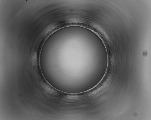 X0000102860825200808251224