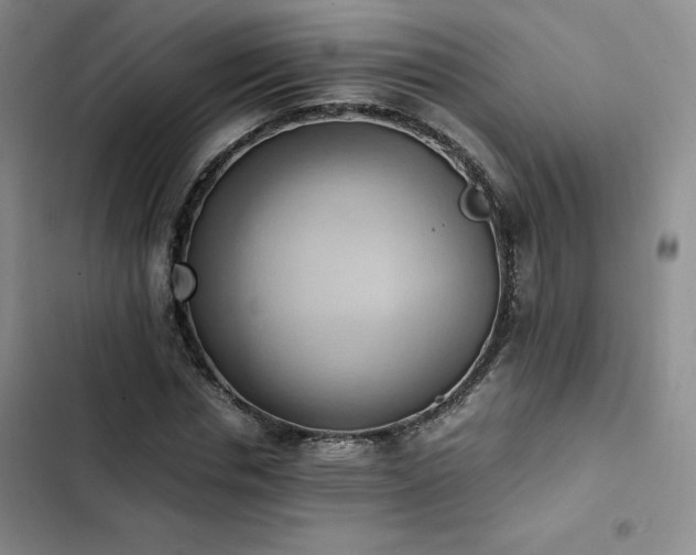 X0000102860826200808251224