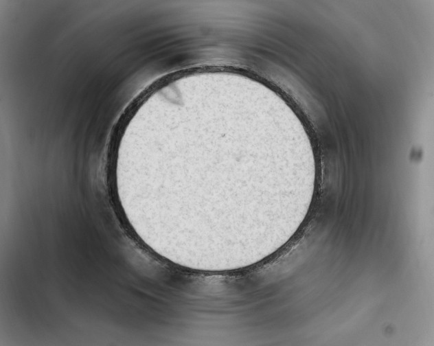 X0000102860828200808251224