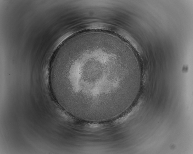 X0000102860829200808251224