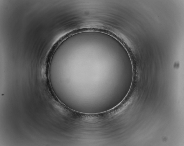 X0000102860830200808251224