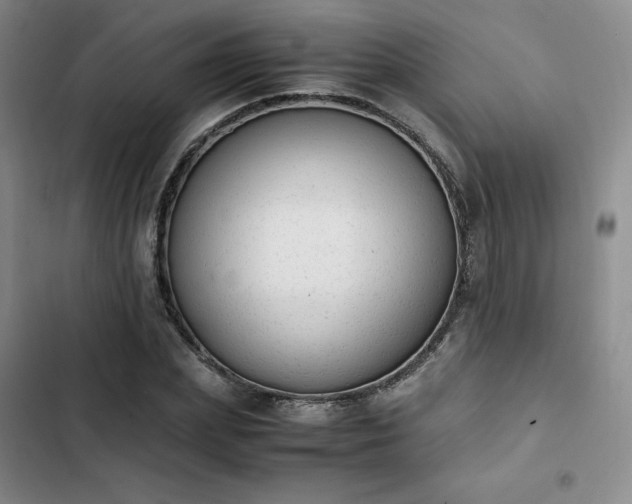 X0000102860831200808251224