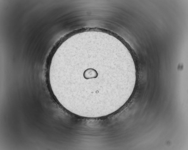 X0000102860832200808251224