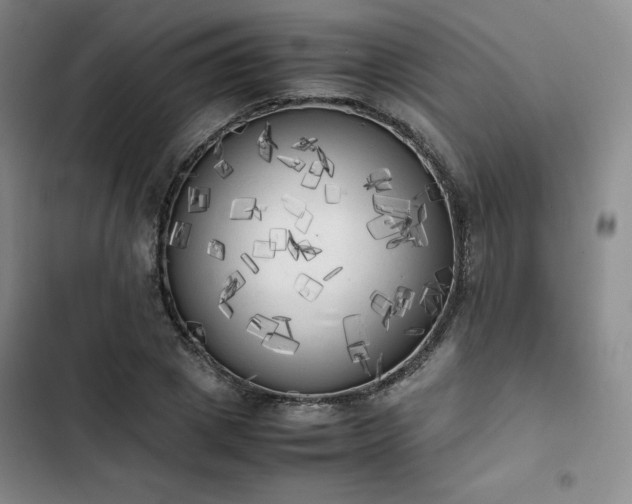 X0000102860833200808251224