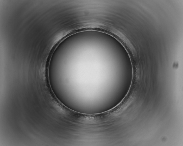 X0000102860834200808251224