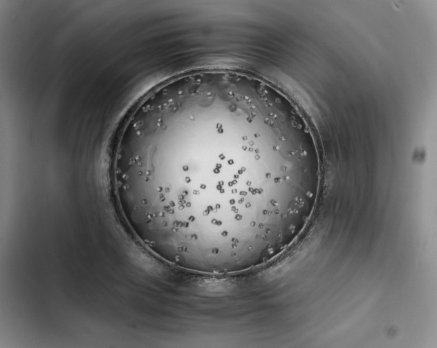 X0000102860835200808251224
