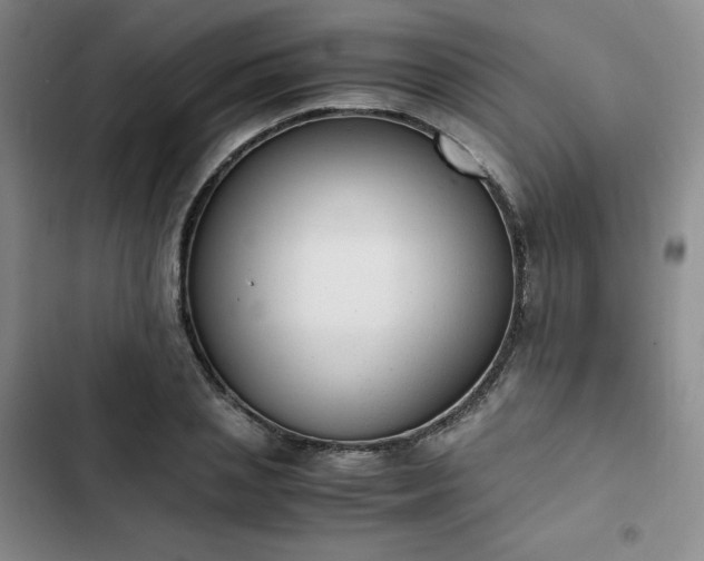 X0000102860837200808251224