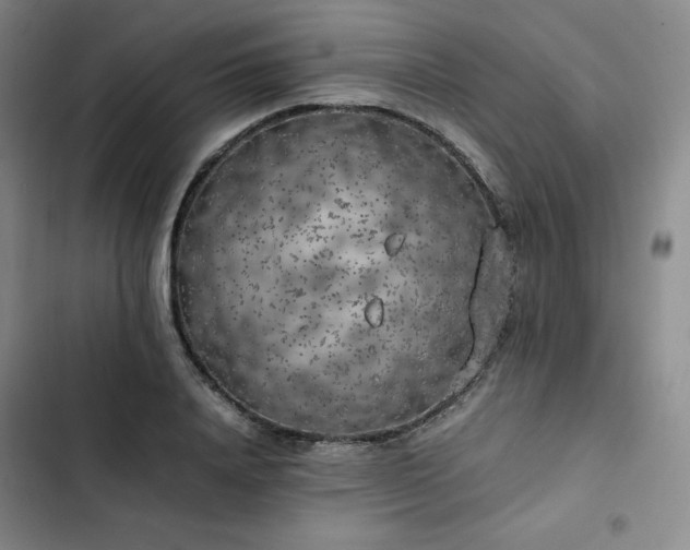 X0000102860840200808251224