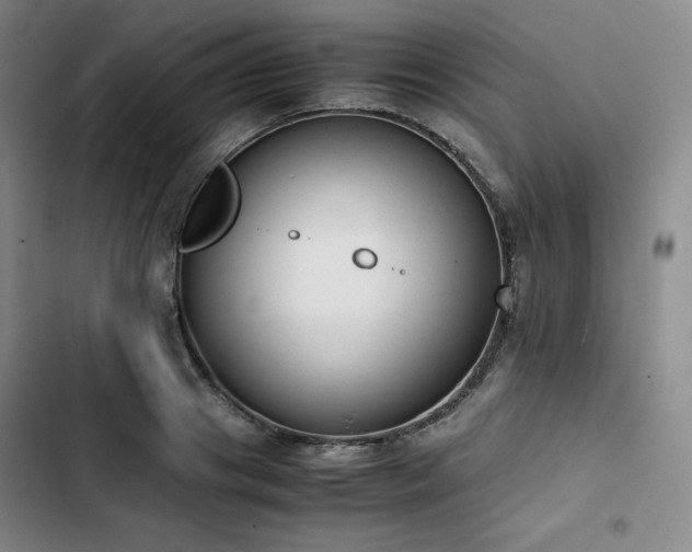 X0000102860841200808251224