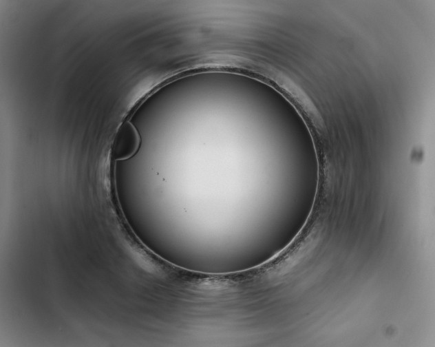 X0000102860842200808251224