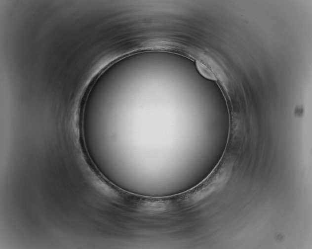 X0000102860843200808251224