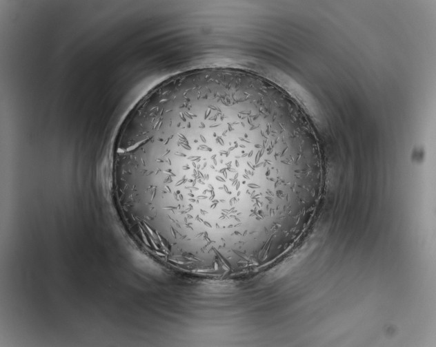 X0000102860844200808251224