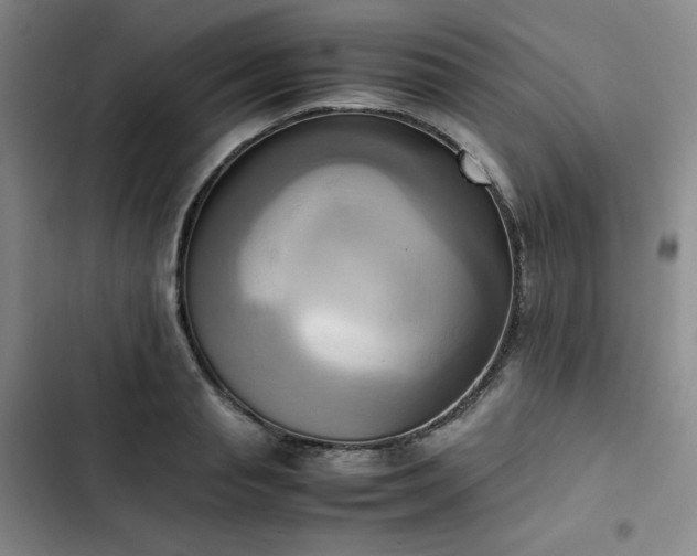 X0000102860845200808251224