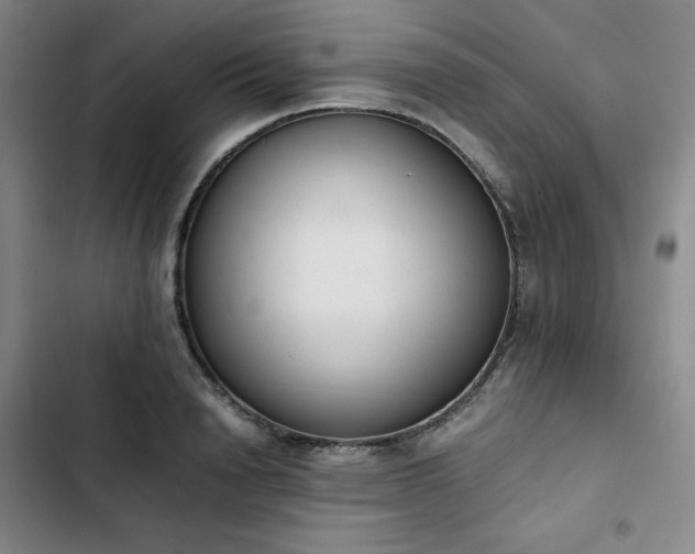 X0000102860846200808251224