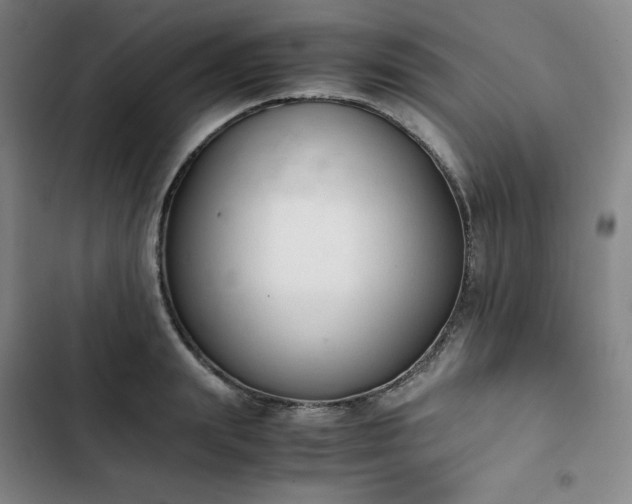 X0000102860847200808251224