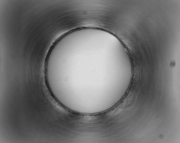 X0000102860848200808251224