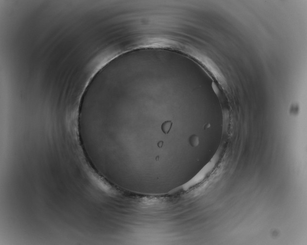 X0000102860850200808251224