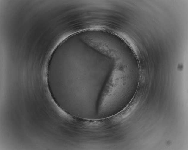 X0000102860851200808251224