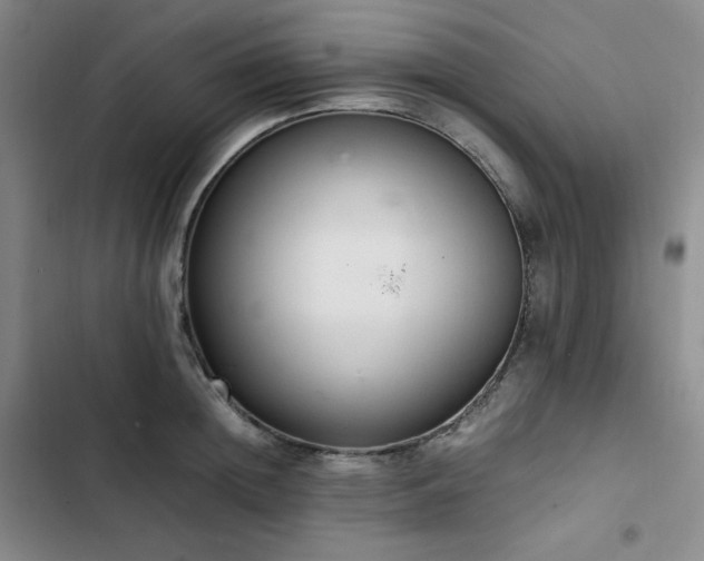 X0000102860852200808251224