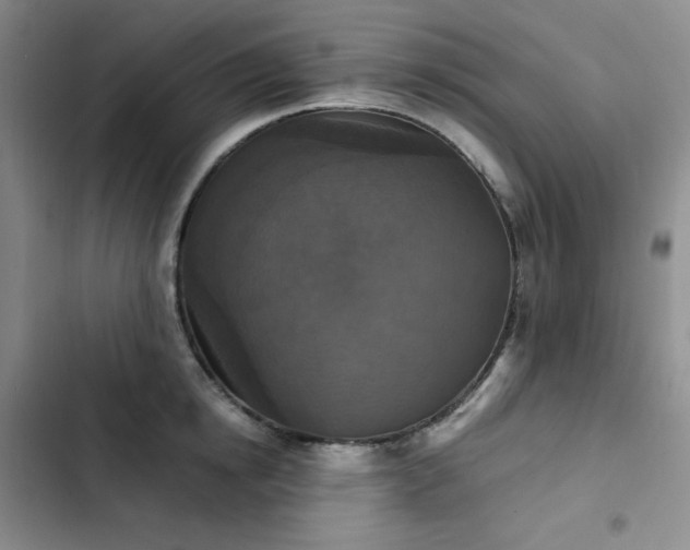 X0000102860854200808251224