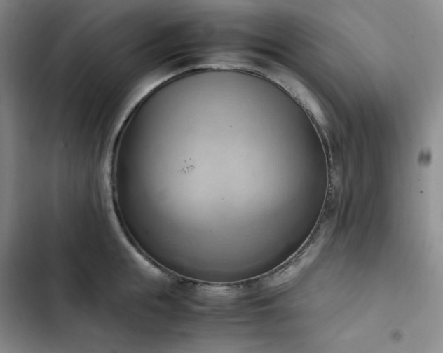 X0000102860855200808251224