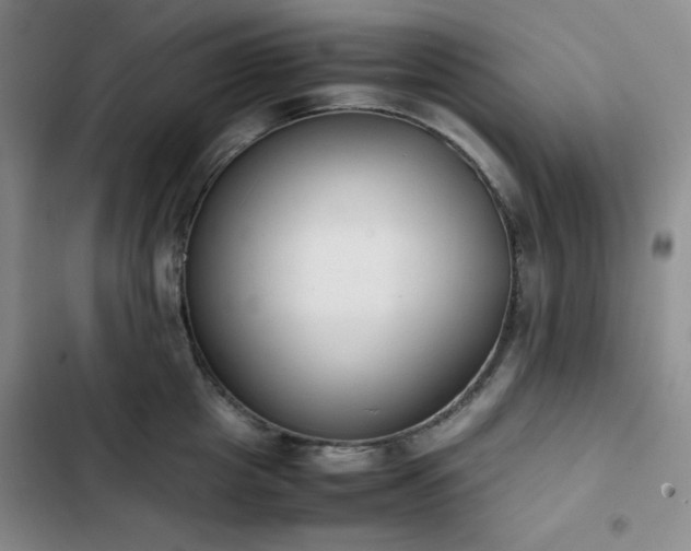 X0000102860857200808251224