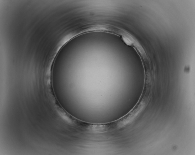 X0000102860858200808251224