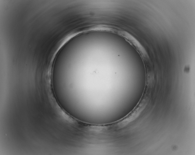 X0000102860860200808251224