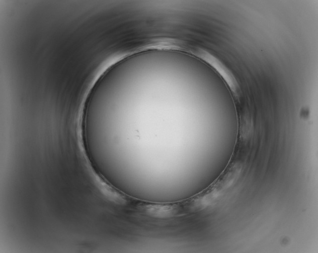 X0000102860861200808251224