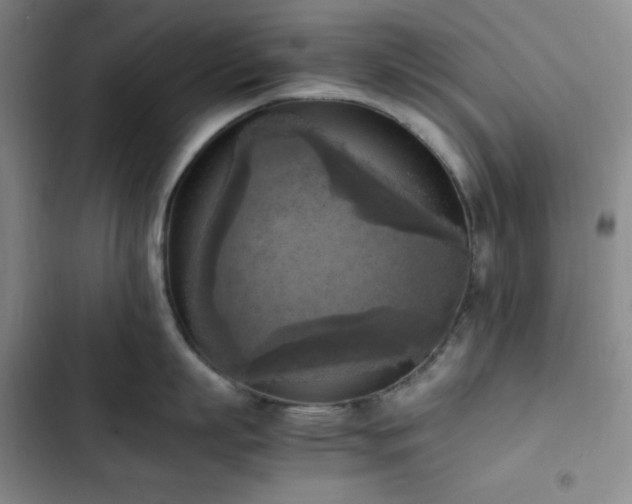 X0000102860863200808251224