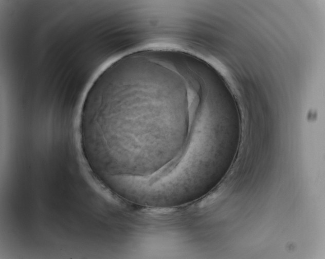 X0000102860864200808251224