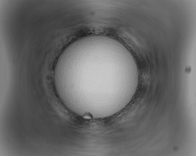 X0000102860865200808251224