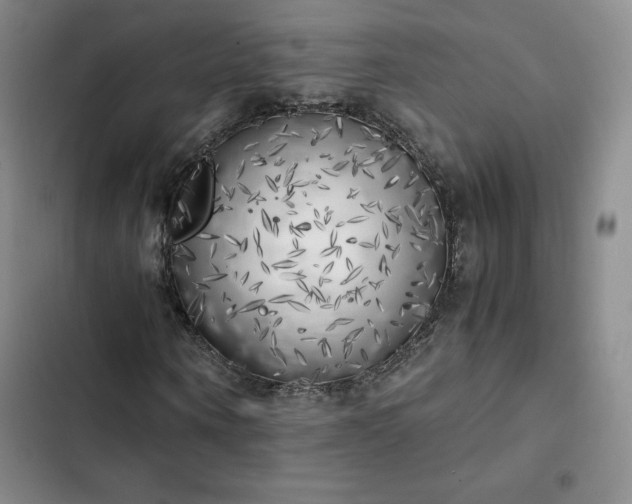 X0000102860866200808251224